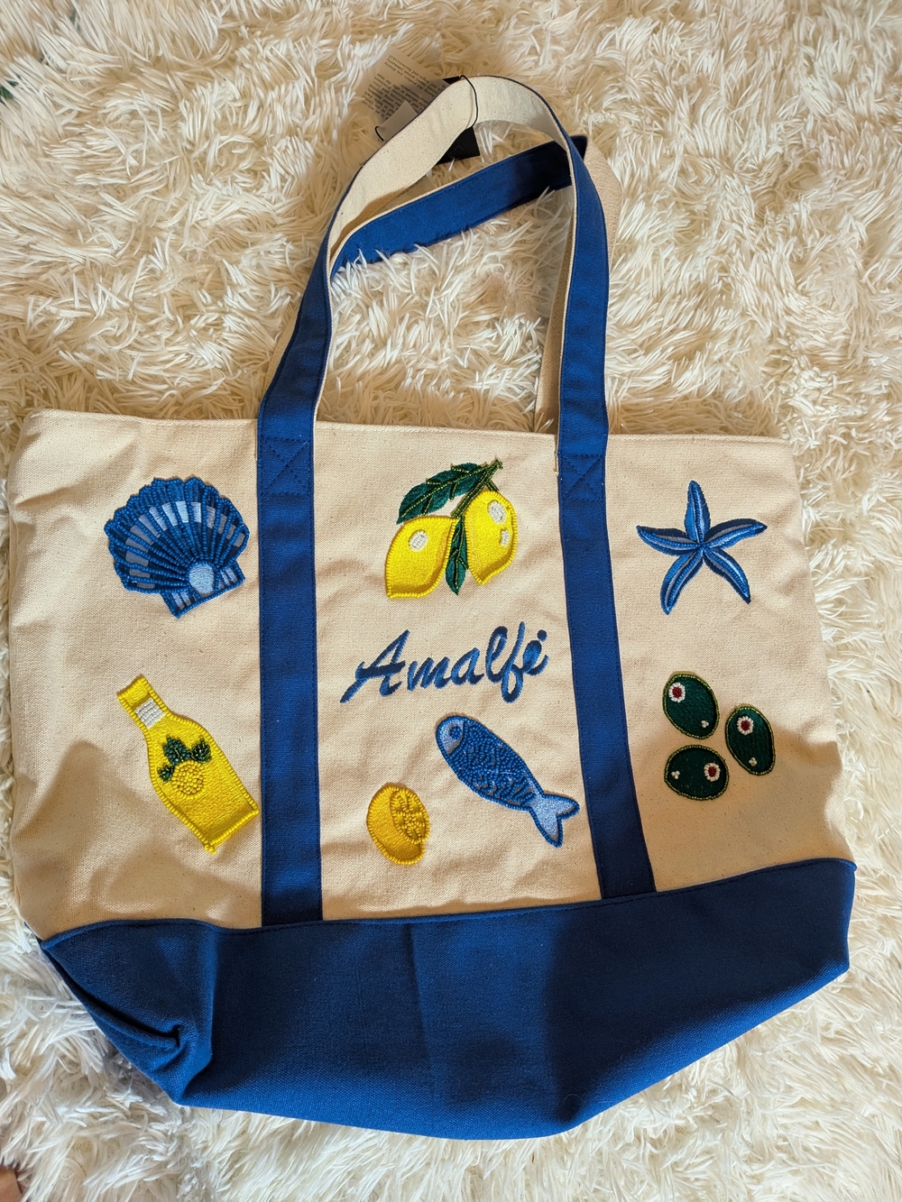 Viral NWT America & Beyond Amalfi Embroidered Canvas Tote Bag